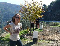 Douro Valley Budget Tour Douro Valley Budget Tour
