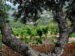 Douro Valley Luxury Tour Douro Valley Luxury Tour
