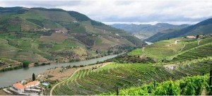 Wines and Tours - Douro Valley 
