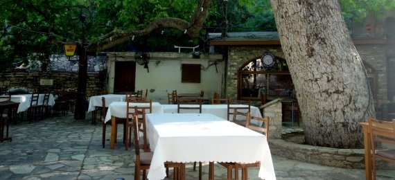 Cyprus Wine Tour - on the following days we have a “Winery experience” day at Christoudias Winery Table