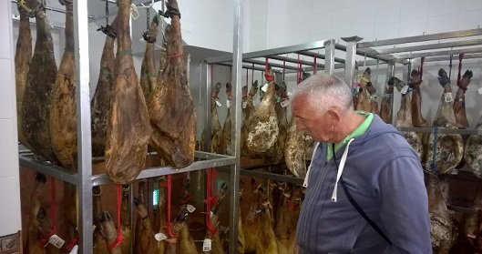 Iberian ham legs