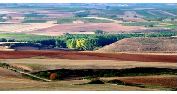 Rioja has a certain wild beauty in its landscape