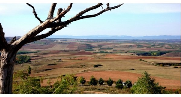The Rioja landscape is quite stunning.