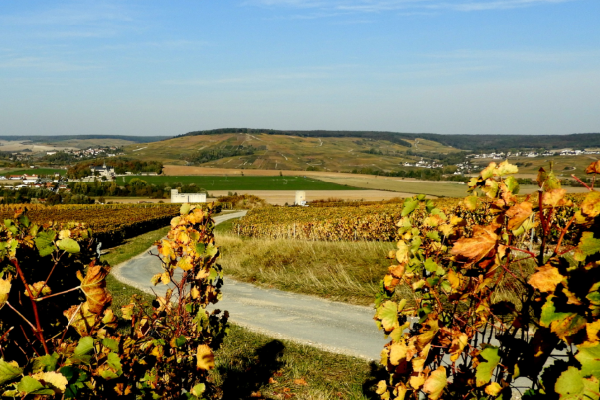 Sardinia Wine Tasting & Tour of 3-4 Days
